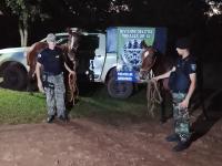 Rastreos de la Policía Ru