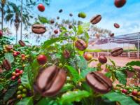 Se realizará en la ciudad