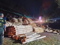 Camión cargado con madera