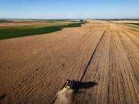 La actividad económica re