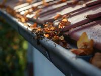 Llegó el otoño y Amanco W