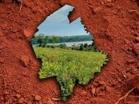 La provincia de Misiones 