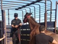 La Policía de Misiones re