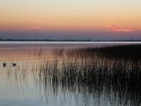 Año Nuevo: Crecen las esc