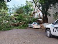 Misiones: Inclemencias cl