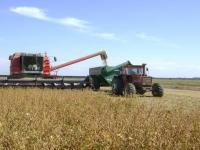 Con apuro, comenzó la cos