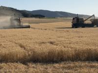 Terminó la cosecha récord