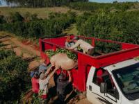 Misiones: Las medidas de 