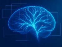 Generación Silver: El cer