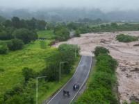 En plena temporada de ver