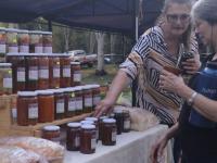 Misiones: La Fiesta Colon