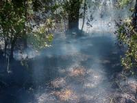 Incendio en el Municipio 