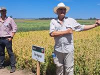 Arvejas, la industria com