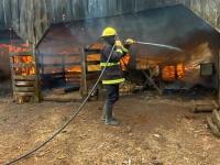 Panambí: Un incendio cons