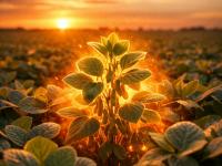 Novonesis y SpeedAgro anu