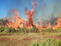 Incendio de malezas en la