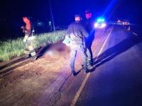 Jardín América: Un peatón