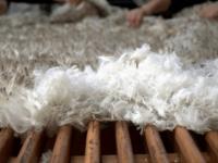 De la esquila al mundo: U