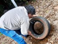 Misiones: Sin casos autóc