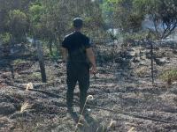 Misiones: Controlaron un 