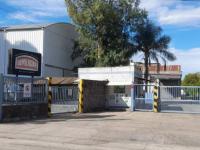 Lumilagro cambió de estra