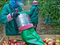 Extienden la vigencia del