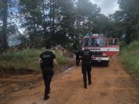 Incendio de malezas sobre