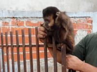 En dos procedimientos dis