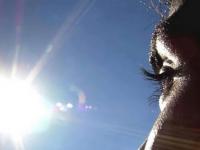 Importancia de cuidar la 