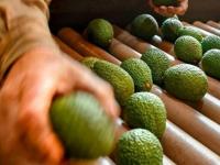 Apóstoles: Jornada de Cap