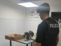 Oberá: Por pedido de veci