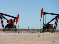 Según datos oficiales: La