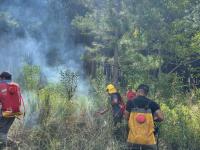 Bomberos de la Policía de