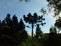 Eldorado reúne al sector 