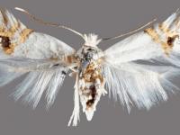 La provincia de Río Negro