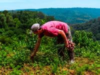 Misiones: El 1° de Junio 