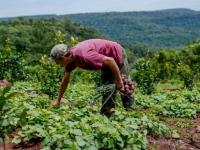 Productores misioneros ac