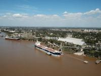 El trigo es un verdadero 