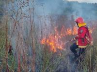 Misiones: Incendio de mal