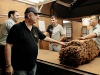 Un complejo régimen tribu