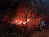 Concepción de la Sierra: 