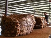 Acopio en el Municipio de