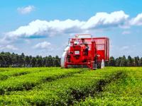 Tecnología y producción o