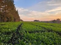 De Misiones al mundo: El 