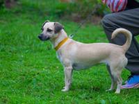 Brindan recomendaciones p