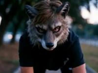 Desde su origen a su auge