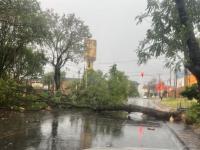 La Policía de Misiones in