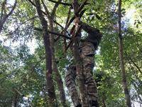 Misiones: La selva se pro