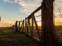 Un reciente relevamiento 