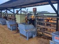 Con trazabilidad electrón